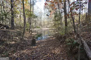 4621 Hwy 34 W, Newnan, GA 30263 - Photo 49