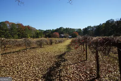 4621 Highway 34 W, Newnan, GA 30263 - Photo 45