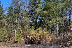 131 W Drummond Rd, West Point, GA 31833 - Photo 1