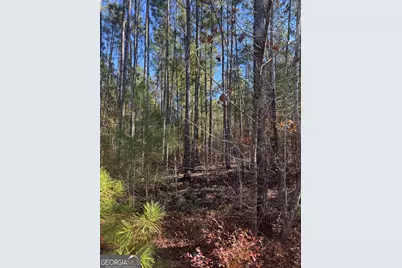 143 W Drummond Road, West Point, GA 31833 - Photo 3