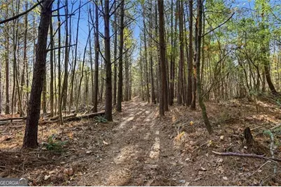 0 Lower Dowda Mill Road, Jasper, GA 30143 - Photo 7