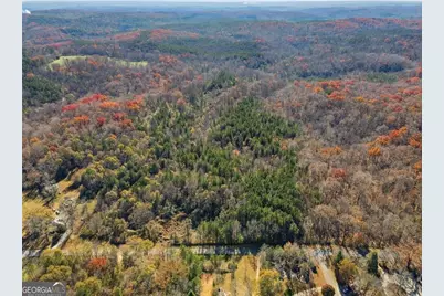 0 Lower Dowda Mill Road, Jasper, GA 30143 - Photo 9
