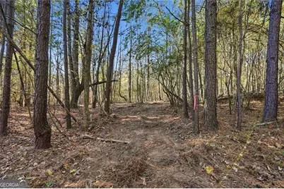 0 Lower Dowda Mill Road, Jasper, GA 30143 - Photo 21