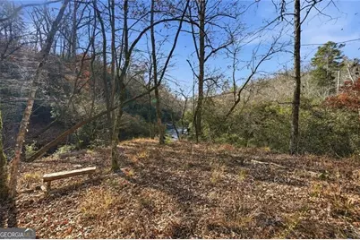 0 Lower Dowda Mill Road, Jasper, GA 30143 - Photo 29