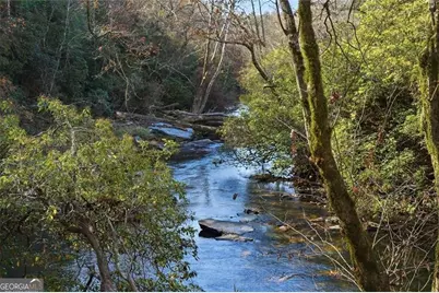 0 Lower Dowda Mill Road, Jasper, GA 30143 - Photo 1