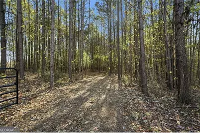 0 Lower Dowda Mill Road, Jasper, GA 30143 - Photo 19