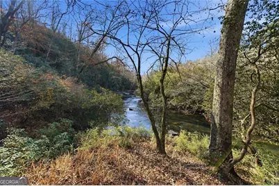 0 Lower Dowda Mill Road, Jasper, GA 30143 - Photo 17