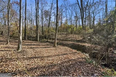 0 Lower Dowda Mill Road, Jasper, GA 30143 - Photo 25