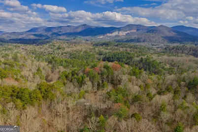 607 Satsuma Court S #673, Ellijay, GA 30536 - Photo 45