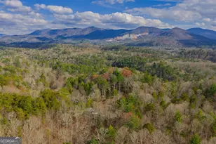 607 Satsuma Ct S, Ellijay, GA 30536 - Photo 45