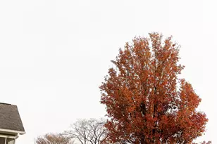 218 Golden Oaks Dr, Lafayette, GA 30728 - Photo 9