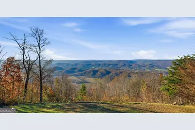 141 Brow Lake Road, Lookout Mountain, GA 30750 - Photo 51