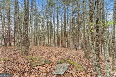 0 South Laceola Road, Cleveland, GA 30528 - Photo 43