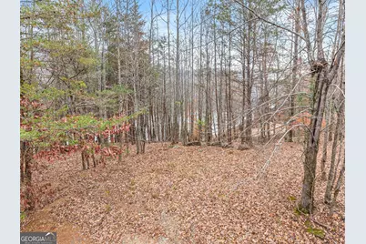 0 South Laceola Road, Cleveland, GA 30528 - Photo 3