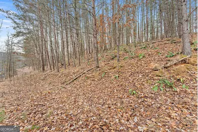 0 South Laceola Road, Cleveland, GA 30528 - Photo 37