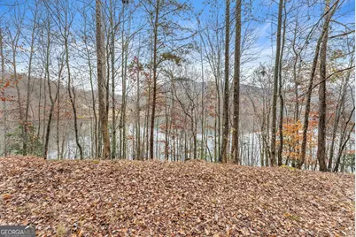 0 South Laceola Road, Cleveland, GA 30528 - Photo 31