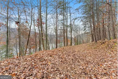 0 South Laceola Road, Cleveland, GA 30528 - Photo 33