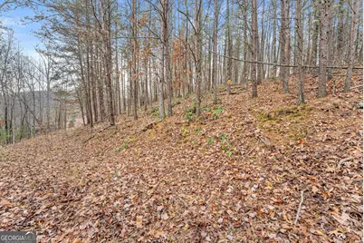 0 South Laceola Road, Cleveland, GA 30528 - Photo 35