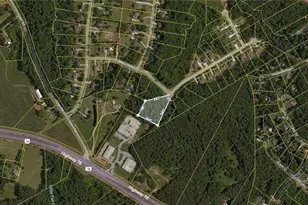 2080 Wood Valley Dr, Loganville, GA 30052 - Photo 3