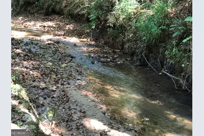 Lot 10 Triune Mill Road, Thomaston, GA 30286 - Photo 29