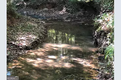Lot 10 Triune Mill Road, Thomaston, GA 30286 - Photo 3