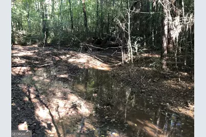 Lot 10 Triune Mill Road, Thomaston, GA 30286 - Photo 19