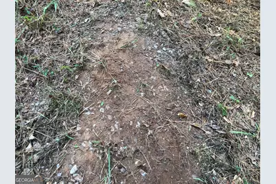 Lot 10 Triune Mill Road, Thomaston, GA 30286 - Photo 27