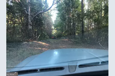 Lot 10 Triune Mill Road, Thomaston, GA 30286 - Photo 7