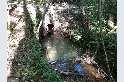 Lot 10 Triune Mill Road, Thomaston, GA 30286 - Photo 21