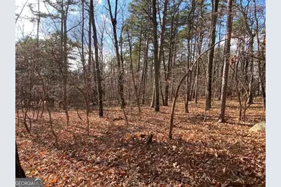 0 Quail Way #LOT 533, Jasper, GA 30143 - Photo 3