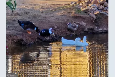 8342 Loch Lomand Lane, Winston, GA 30187 - Photo 3