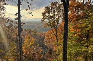 664 Fox Run Dr, Blue Ridge, GA 30513 - Photo 3