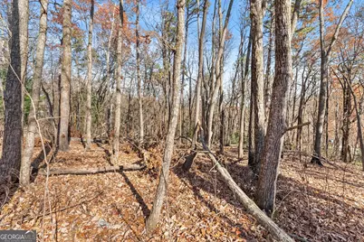 Lot 26 &amp; 27 Spring Crest Road, Cleveland, GA 30528 - Photo 5