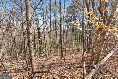 Lot 26 &amp; 27 Spring Crest Road, Cleveland, GA 30528 - Photo 7
