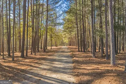 2079 Highway 85, Senoia, GA 30276 - Photo 37