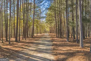 2079 Hwy 85, Senoia, GA 30276 - Photo 37