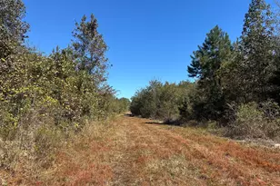 68 Sand Rdg Rd, Rhine, GA 31077 - Photo 33