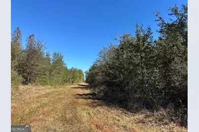 68 Sand Ridge Road, Rhine, GA 31077 - Photo 35