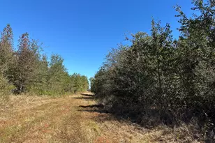 68 Sand Rdg Rd, Rhine, GA 31077 - Photo 35