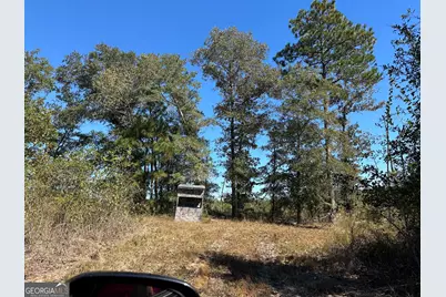 68 Sand Ridge Road, Rhine, GA 31077 - Photo 39