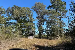 68 Sand Rdg Rd, Rhine, GA 31077 - Photo 39