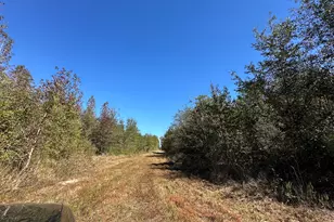 68 Sand Rdg Rd, Rhine, GA 31077 - Photo 37