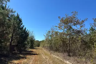 68 Sand Rdg Rd, Rhine, GA 31077 - Photo 43