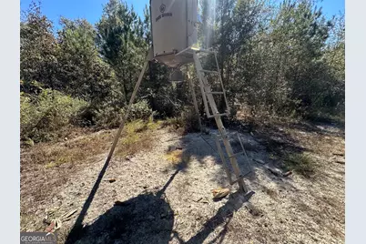 68 Sand Ridge Road, Rhine, GA 31077 - Photo 51