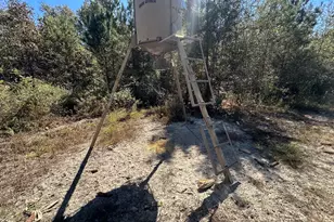 68 Sand Rdg Rd, Rhine, GA 31077 - Photo 51