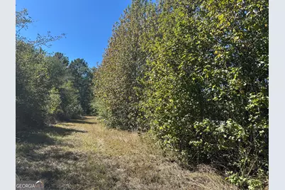 68 Sand Ridge Road, Rhine, GA 31077 - Photo 49