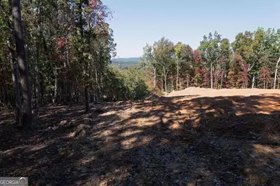 34 E Heritage Drive NE, Rydal, GA 30171 - Photo 5
