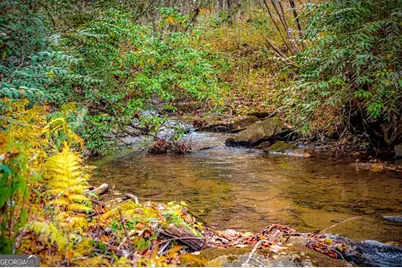 90 Hay Lane, Morganton, GA 30560 - Photo 65