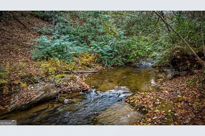90 Hay Lane, Morganton, GA 30560 - Photo 59