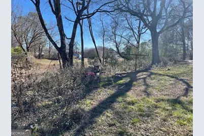 427 Park Street, Cedartown, GA 30125 - Photo 3